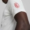 Picture of AC Milan Ftblicons T-Shirt
