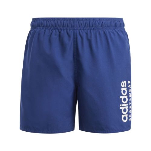 Picture of Sportswear Essentials Logo CLX Swim Shorts