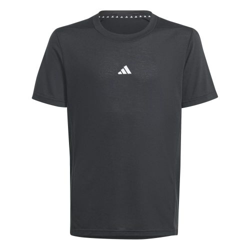 Picture of Training AEROREADY T-Shirt