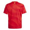 Picture of Kids Spain 2024 Home Jersey