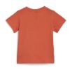 Picture of Infants Essentials Organic Cotton T-Shirt and Shorts Set