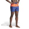 Picture of Colourblock CLX Short Length Swim Shorts