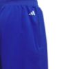 Picture of Select Shorts