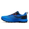 Picture of Peregrine 14 Running Shoes 