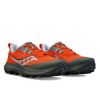 Picture of Peregrine 14 Running Shoes 