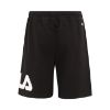 Picture of Lonnig Logo Shorts