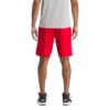 Picture of Basketball Open-Hole Mesh Shorts