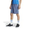 Picture of Pinstripe Sprinter Shorts