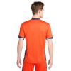 Picture of Netherlands Men's Team 2024/25 Dri-FIT Replica Home Jersey