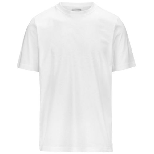 Picture of Fanglo T-Shirt