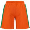Picture of Fulto Shorts
