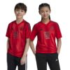 Picture of FC Bayern 2024/25 Kids Home Jersey