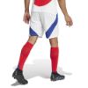 Picture of Arsenal 2024/25 Home Shorts