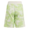 Picture of Summer Allover Print Shorts