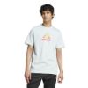 Picture of Spain Football Fan Graphic T-Shirt