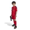 Picture of FC Bayern 2024/25 Home Mini Kit