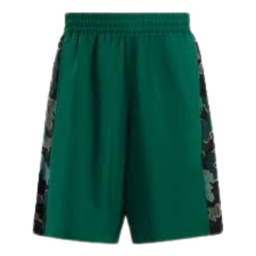 Picture of Train Motion Camo Shorts