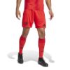 Picture of FC Bayern 2024/25 Home Shorts