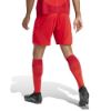 Picture of FC Bayern 2024/25 Home Shorts