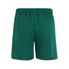 Picture of Lamerdingen Colourblock Shorts