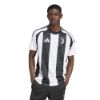 Picture of Juventus 2024/25 Home Jersey