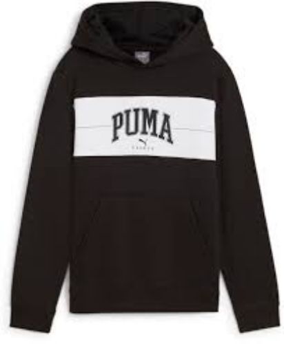 Picture of Boys Puma Squad Hoodie