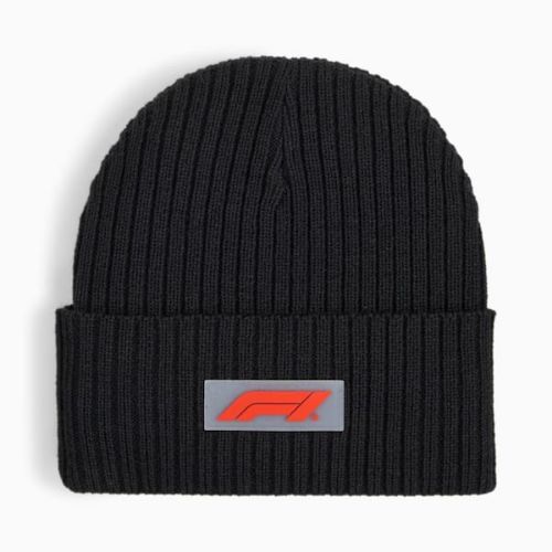 Picture of Formula 1 Beanie