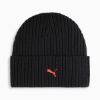 Picture of Formula 1 Beanie