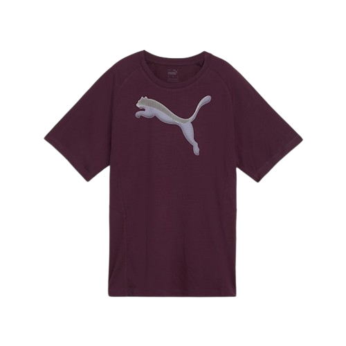 Picture of Evostripe Women's Tee