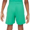 Picture of Dri-FIT Multi+ Big Kids Graphic Training Shorts