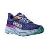 Picture of Challenger 7 Road Running Shoes