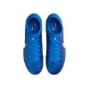 Picture of Tiempo Legend 10 Pro Turf Low-Top Football Boots