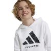 Picture of Juventus Kids Hoodie