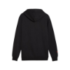 Picture of F1® Essentials Logo Fleece Hoodie