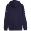 Picture of Manchester City FtblIcons Hoodie