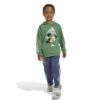 Picture of Disney Mickey Mouse Little Kids' Sweatshirt