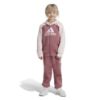 Picture of Little Kids Essentials Big Logo Fleece Tracksuit