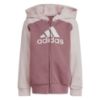 Picture of Little Kids Essentials Big Logo Fleece Tracksuit