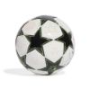 Picture of UCL 2024/25 Group Stage Mini Ball