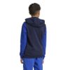 Picture of Juniors Essentials Big Logo Colorblock Hoodie Kids