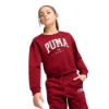 Picture of Girls Puma Squad Crew Neck Sweatshirt