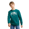 Picture of Boys Puma Squad Crew Neck Sweatshirt