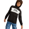 Picture of Boys Puma Squad Hoodie