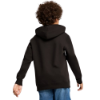 Picture of Boys Puma Squad Hoodie