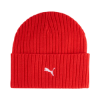 Picture of Formula 1 Beanie