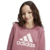 Picture of Junior Girls Essentials Big Logo Cotton Sweatshirt