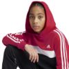 Picture of Junior Tiberio 3-Stripes Colourblock Fleece Hoodie