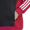 Picture of Junior Tiberio 3-Stripes Colourblock Fleece Hoodie