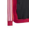 Picture of Junior Tiberio 3-Stripes Colourblock Fleece Hoodie