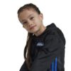 Picture of Kids Full-Zip Hoodie Set